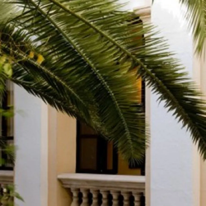 ****  Hotel Born Palma de Mallorca Spanien